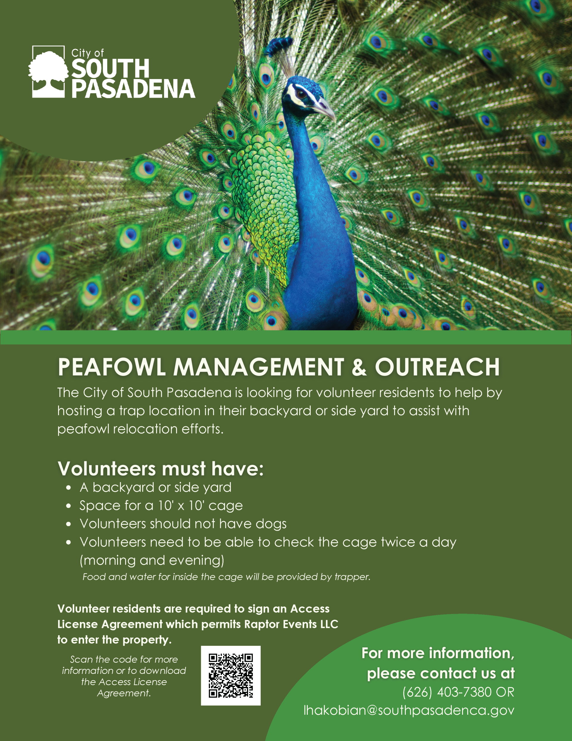 Peafowl Management Flyer